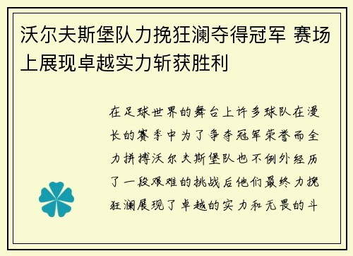 沃尔夫斯堡队力挽狂澜夺得冠军 赛场上展现卓越实力斩获胜利